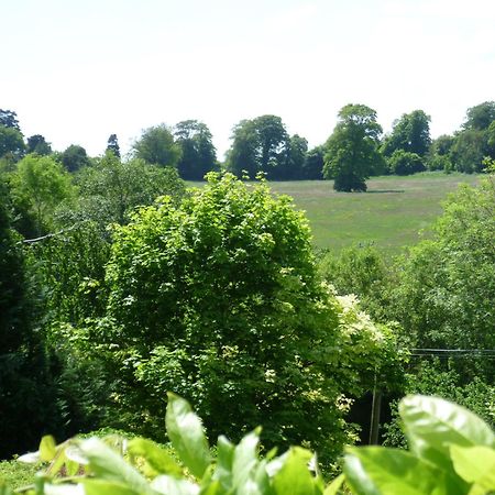 Bed and Breakfast Diamond Hill Country House Waterford Exterior foto