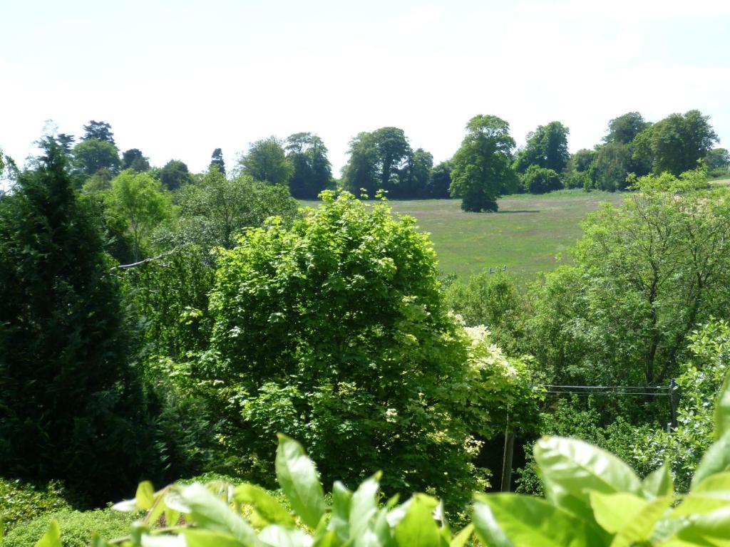 Bed and Breakfast Diamond Hill Country House Waterford Exterior foto