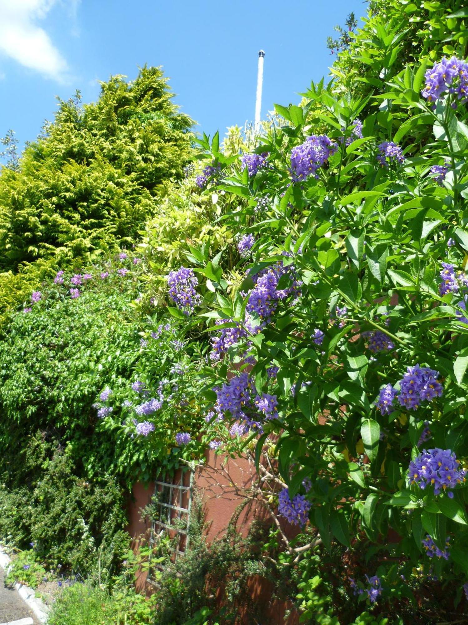 Bed and Breakfast Diamond Hill Country House Waterford Exterior foto