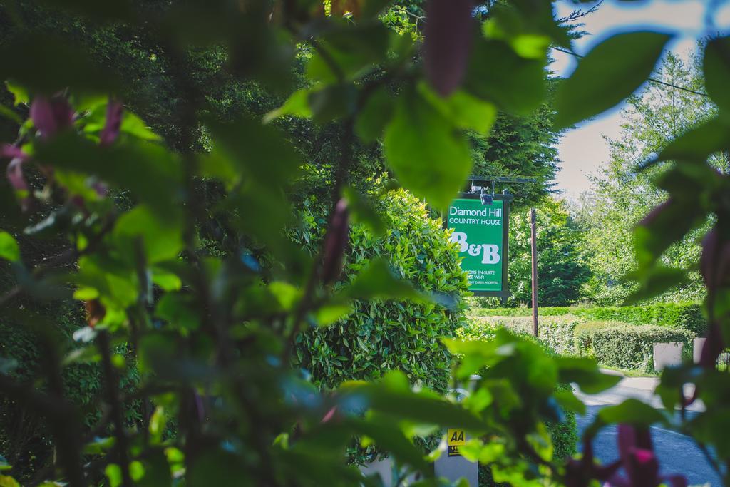 Bed and Breakfast Diamond Hill Country House Waterford Exterior foto