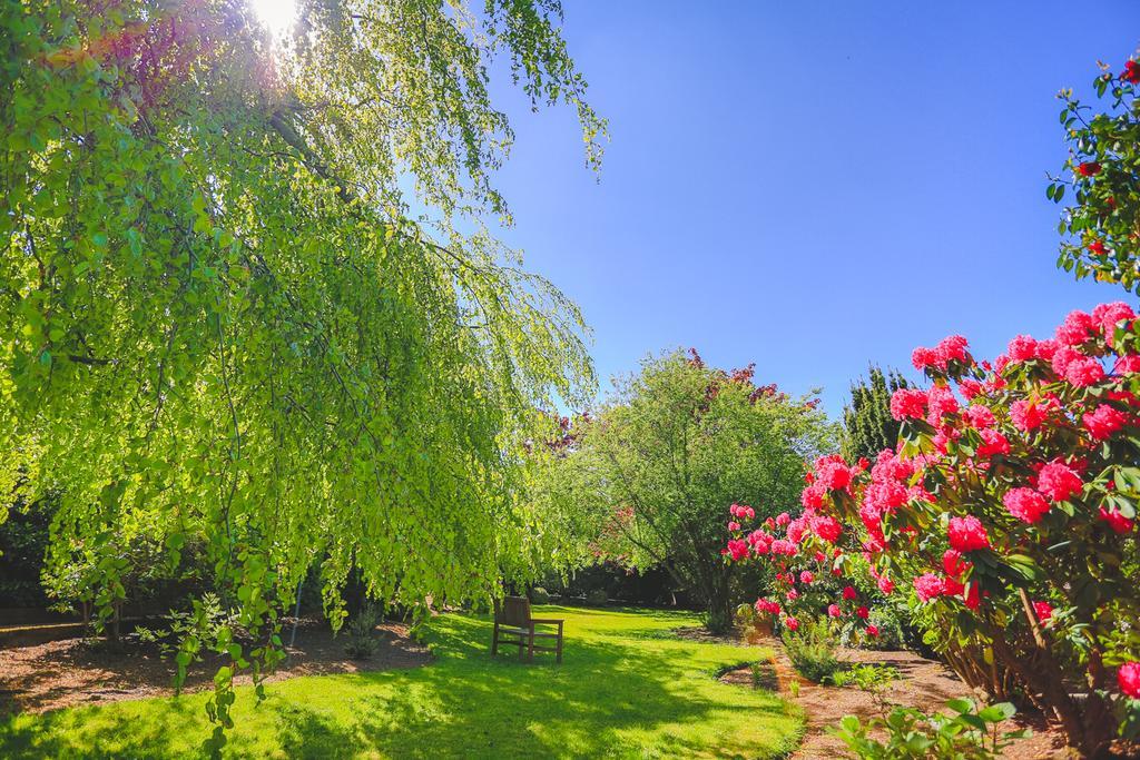 Bed and Breakfast Diamond Hill Country House Waterford Exterior foto